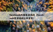facebook内容无法访问（facebook无法访问公共主页）
