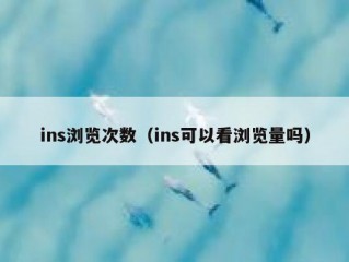 ins浏览次数（ins可以看浏览量吗）