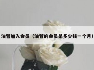 油管加入会员（油管的会员是多少钱一个月）