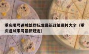 重庆限号进城处罚标准最新政策图片大全（重庆进城限号最新规定）