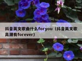 抖音英文歌曲什么foryou（抖音英文歌高潮有forever）