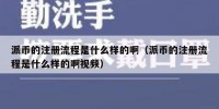 派币的注册流程是什么样的啊（派币的注册流程是什么样的啊视频）