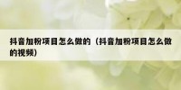 抖音加粉项目怎么做的（抖音加粉项目怎么做的视频）