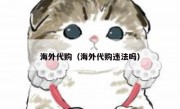 海外代购（海外代购违法吗）