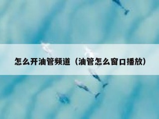 怎么开油管频道（油管怎么窗口播放）