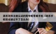 派币怎样注册认证的账号呢苹果手机（派币手机验证通过不了怎么办）