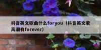 抖音英文歌曲什么foryou（抖音英文歌高潮有forever）