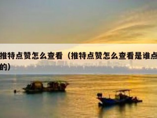 推特点赞怎么查看（推特点赞怎么查看是谁点的）