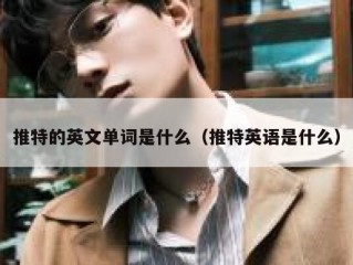 推特的英文单词是什么（推特英语是什么）