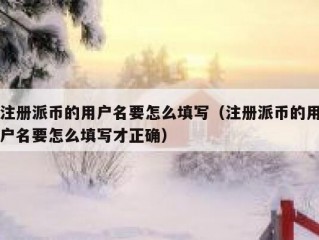 注册派币的用户名要怎么填写（注册派币的用户名要怎么填写才正确）
