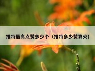 推特最高点赞多少个（推特多少赞算火）
