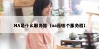 NA是什么服务器（na是哪个服务器）