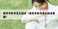 派币手机号怎么验证（派币手机号怎么验证真假）