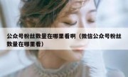 公众号粉丝数量在哪里看啊（微信公众号粉丝数量在哪里看）