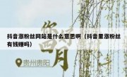 抖音涨粉丝网站是什么意思啊（抖音里涨粉丝有钱赚吗）