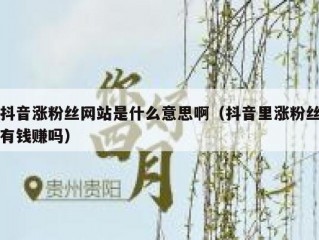 抖音涨粉丝网站是什么意思啊（抖音里涨粉丝有钱赚吗）