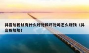 抖音加粉丝有什么好处和坏处吗怎么赚钱（抖音粉加加）