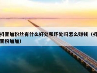 抖音加粉丝有什么好处和坏处吗怎么赚钱（抖音粉加加）