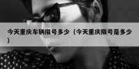今天重庆车辆限号多少（今天重庆限号是多少）