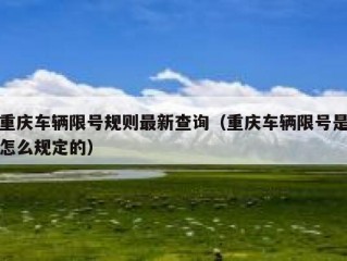 重庆车辆限号规则最新查询（重庆车辆限号是怎么规定的）