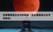 在哪看微信公众号的粉丝（怎么看微信公众号的粉丝）