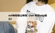 nat映射端口映射（nat 映射udp端口）