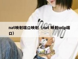 nat映射端口映射（nat 映射udp端口）
