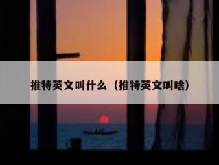 推特英文叫什么（推特英文叫啥）