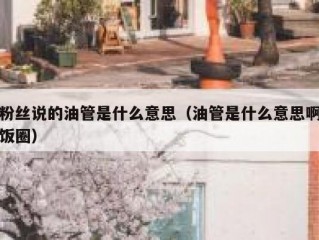 粉丝说的油管是什么意思（油管是什么意思啊饭圈）