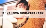 海外域名注册平台（海外域名注册平台有哪些）