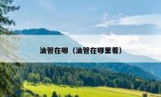 油管在哪（油管在哪里看）