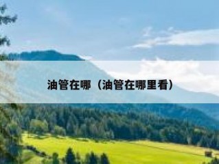 油管在哪（油管在哪里看）