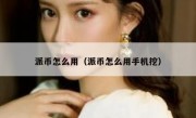 派币怎么用（派币怎么用手机挖）