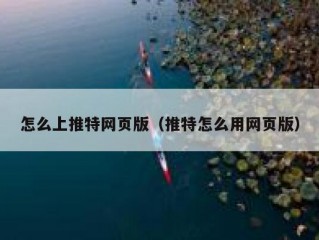 怎么上推特网页版（推特怎么用网页版）