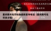 重庆限号处罚标准最新查询电话（重庆限号处罚多少钱）