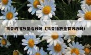 抖音的播放量给钱吗（抖音播放量有钱收吗）