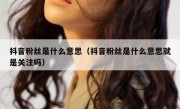 抖音粉丝是什么意思（抖音粉丝是什么意思就是关注吗）