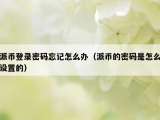 派币登录密码忘记怎么办（派币的密码是怎么设置的）