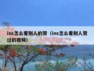 ins怎么看别人的赞（ins怎么看别人赞过的视频）