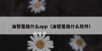 油管是指什么app（油管是指什么软件）