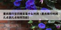 重庆限行惩罚规定是什么时间（重庆限行时间几点到几点如何罚款）