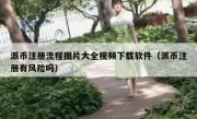 派币注册流程图片大全视频下载软件（派币注册有风险吗）