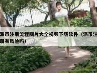 派币注册流程图片大全视频下载软件（派币注册有风险吗）