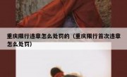 重庆限行违章怎么处罚的（重庆限行首次违章怎么处罚）