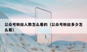 公众号粉丝人数怎么看的（公众号粉丝多少怎么看）