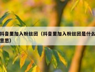 抖音里加入粉丝团（抖音里加入粉丝团是什么意思）