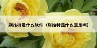 刷推特是什么软件（刷推特是什么意思啊）