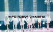 ins不能评论图片吗（ins无法评论）