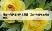 抖音如何快速增长点赞量（怎么快速增加抖音点赞）