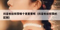 抖音粉丝和赞哪个更重要呢（抖音粉丝和赞的区别）